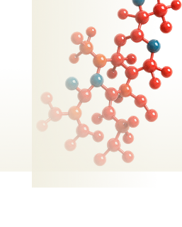 Sulfotransferase 1A1