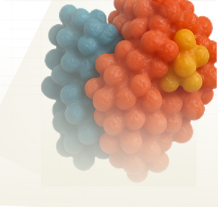 Cellular Retinoic Acid Binding Protein 2