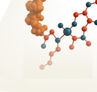 Zinc Finger  Protein ZPR1