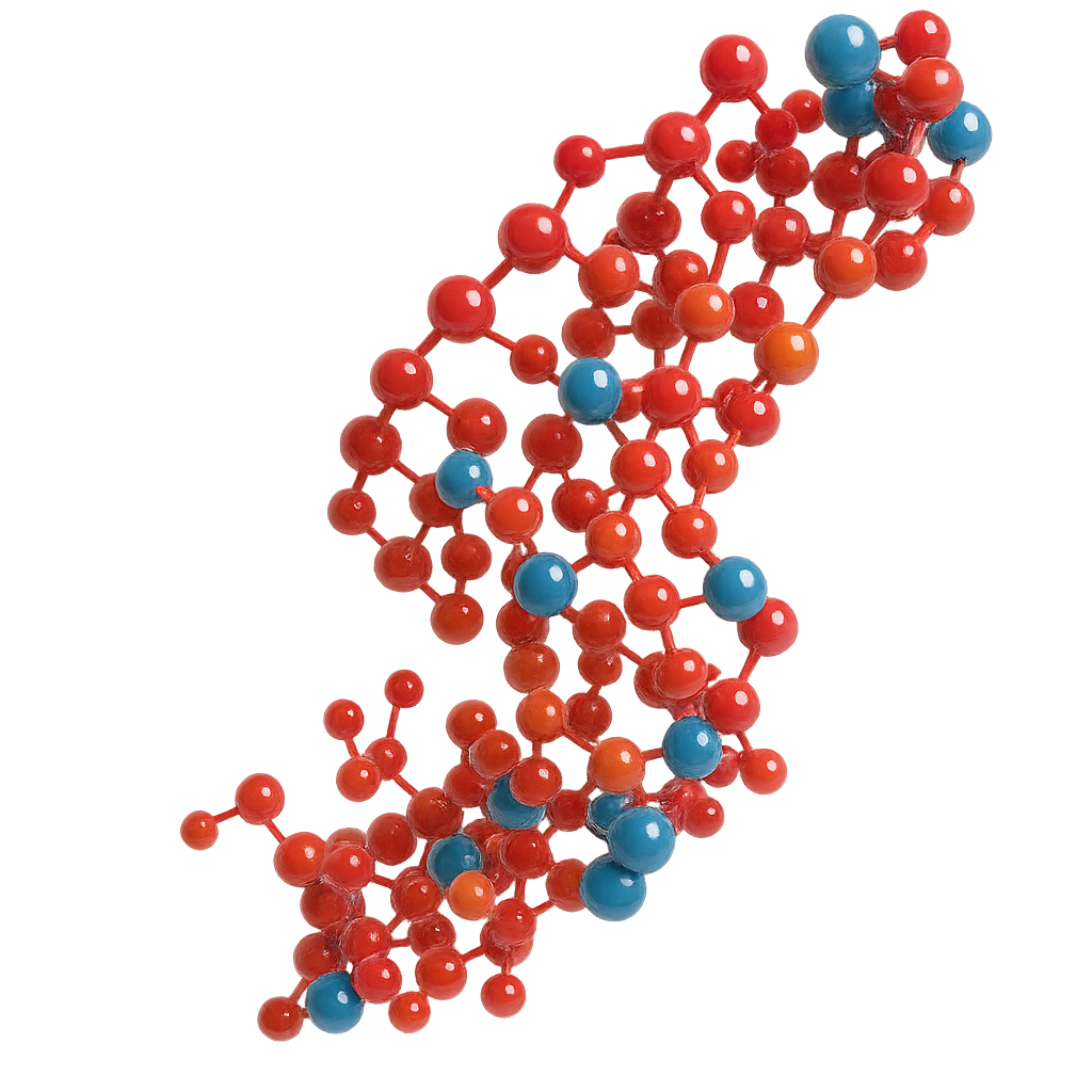 Sulfotransferase 1A1